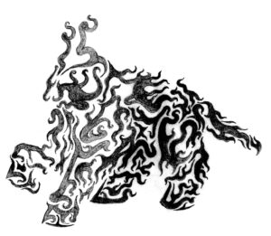 bok